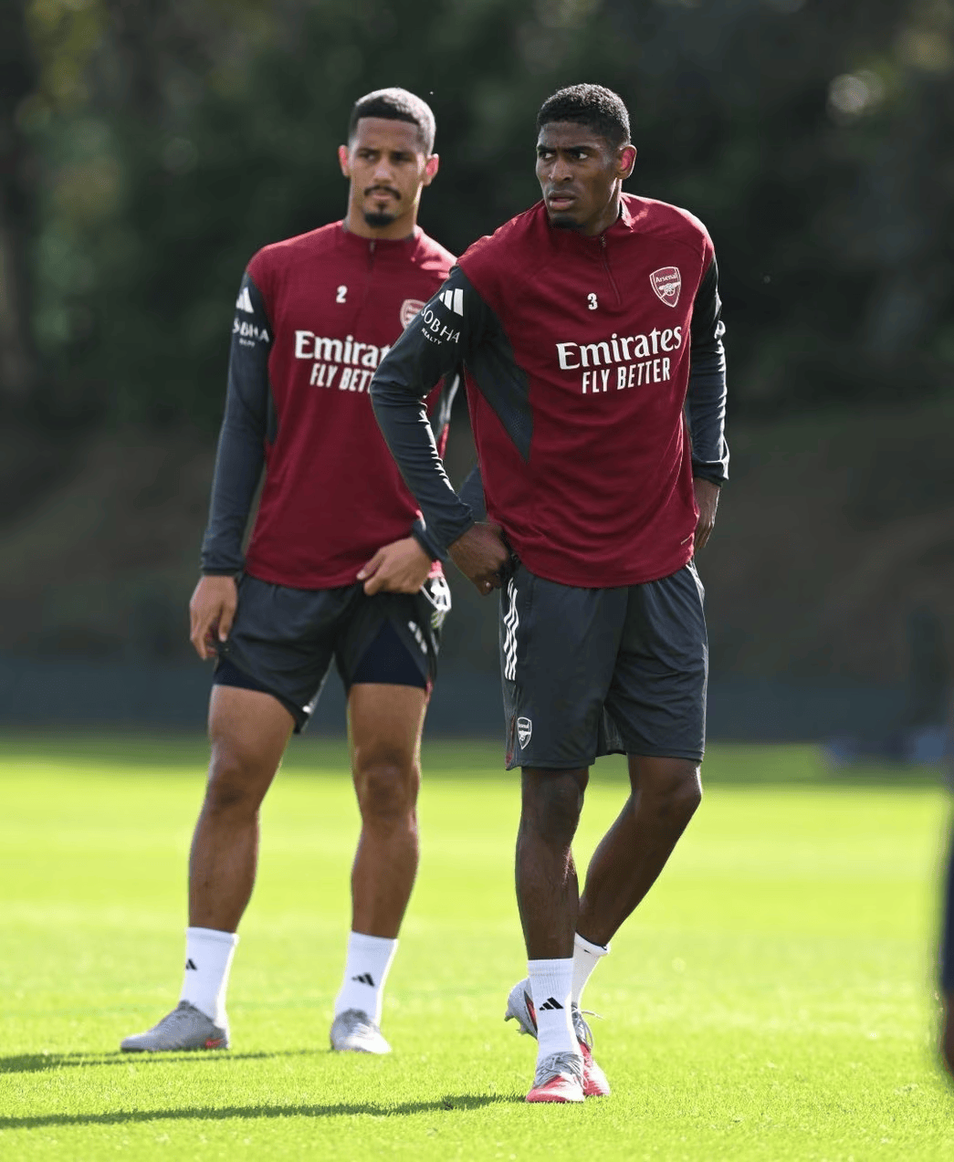 关于今夜奥兰多魔术调整名单以备欧冠，手感冰凉环节打磨，底气十足，身体对抗强度拉满的信息