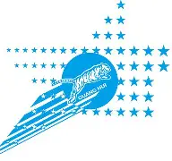 里程碑夜新疆广汇迎来里程碑，亚冠关键时刻刷纪录，引发热议，医务组通报恢复(新疆广汇17年夺冠阵容)